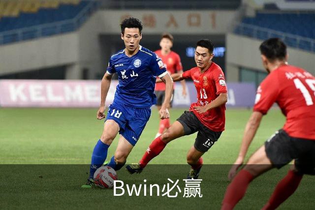 Bwin必赢公司简介